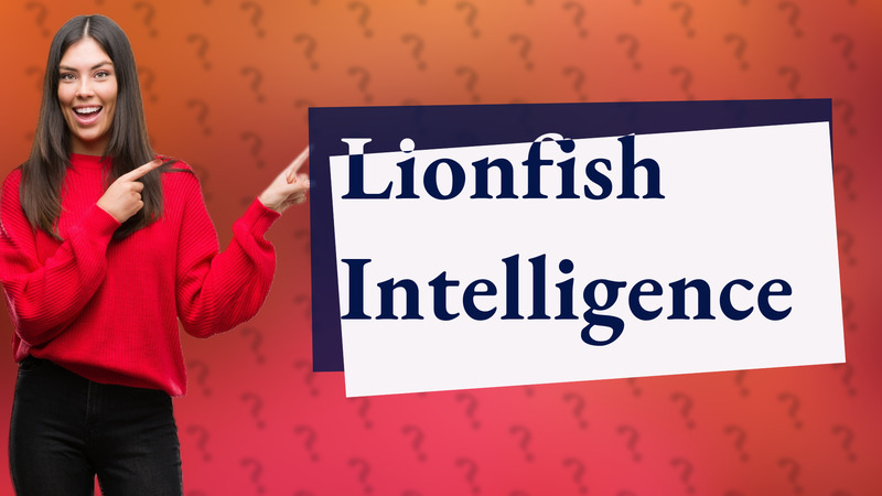 Lionfish Intelligence