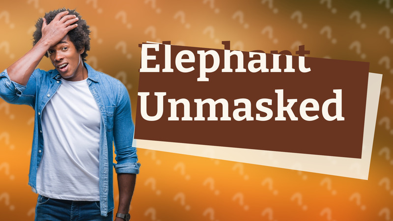 Elephant Unmasked