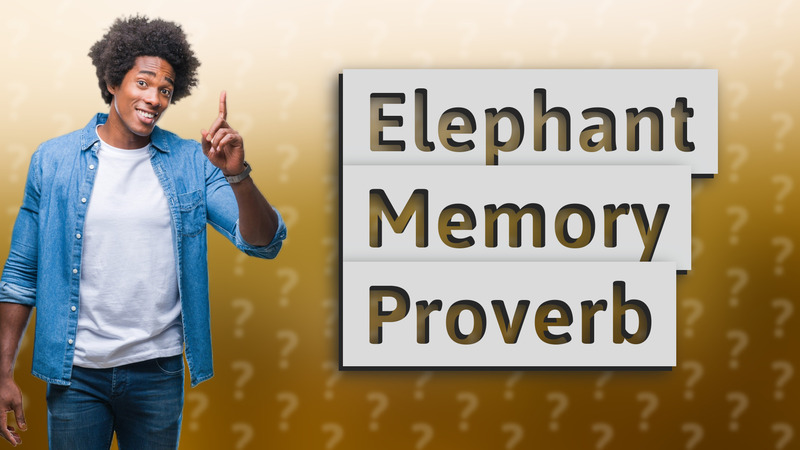 Elephant Memory Proverb
