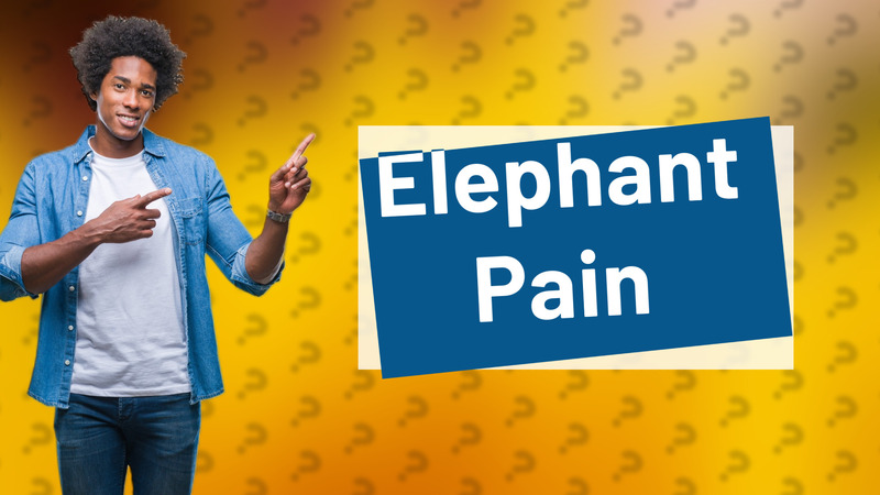 Elephant Pain