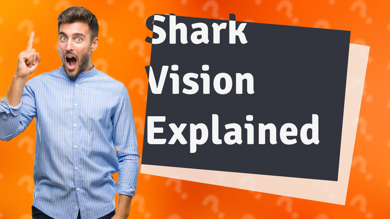 Shark Vision Explained