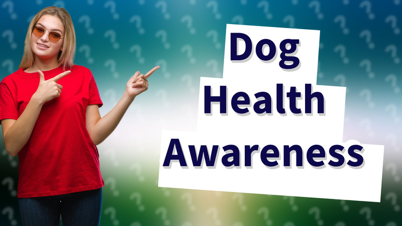 Dog Health Awareness