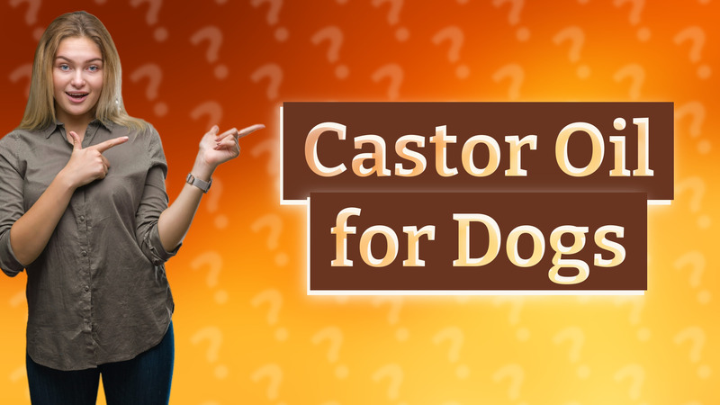 Castor Oil for Dogs