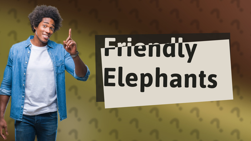 Friendly Elephants
