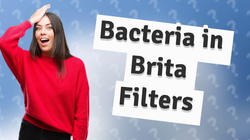 Bacteria in Brita Filters