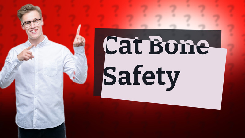 Cat Bone Safety