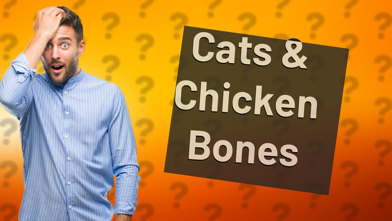 Cats & Chicken Bones