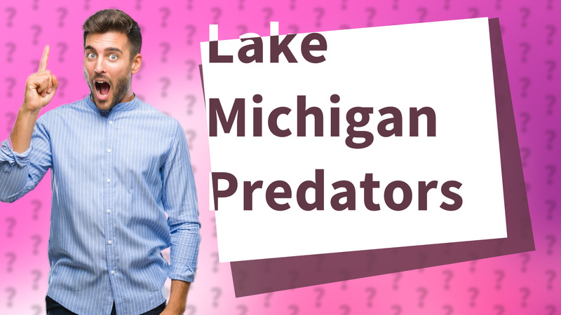 Lake Michigan Predators