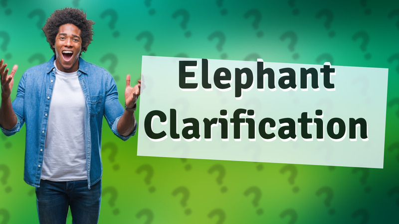 Elephant Clarification