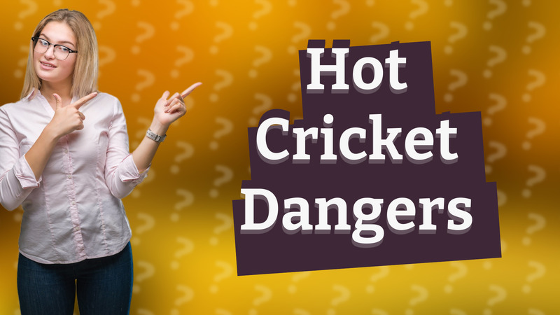 Hot Cricket Dangers