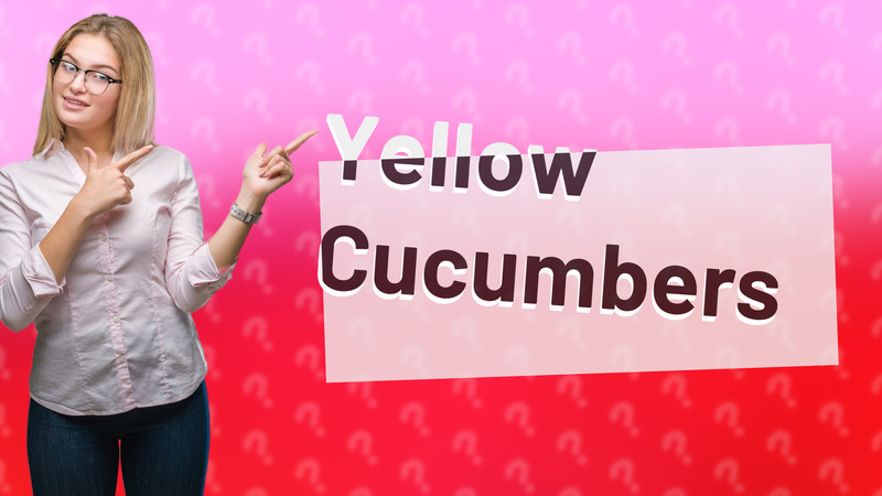 Yellow Cucumbers