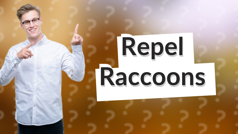 Repel Raccoons