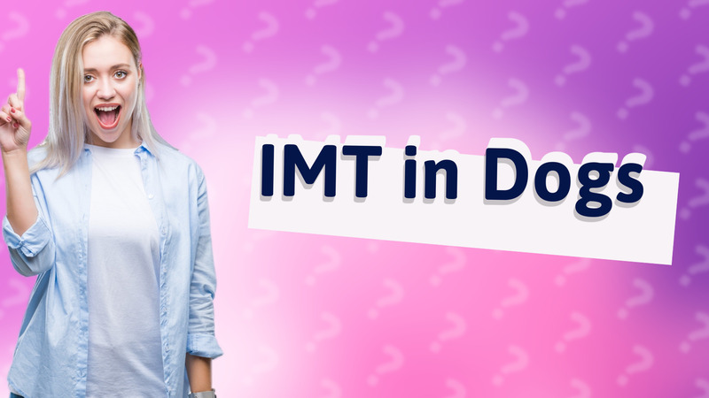 IMT in Dogs