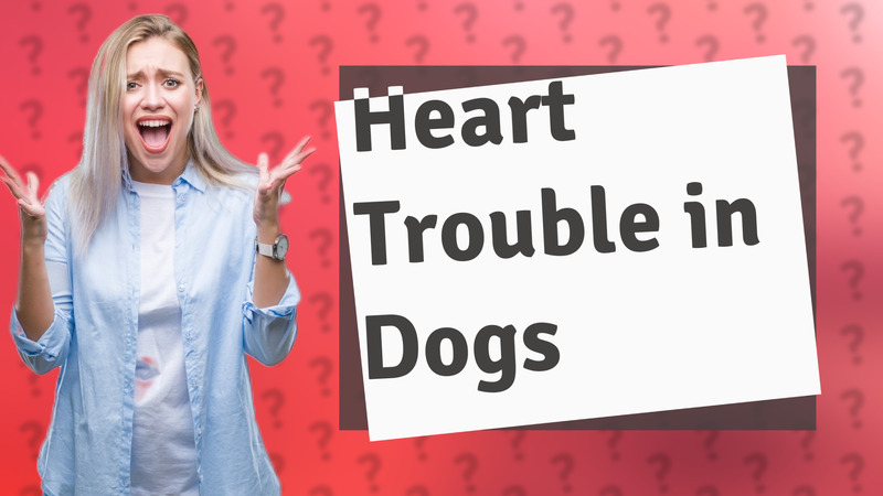 Heart Trouble in Dogs