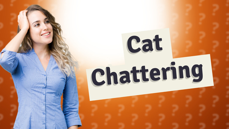 Cat Chattering
