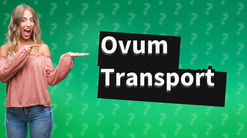 Ovum Transport