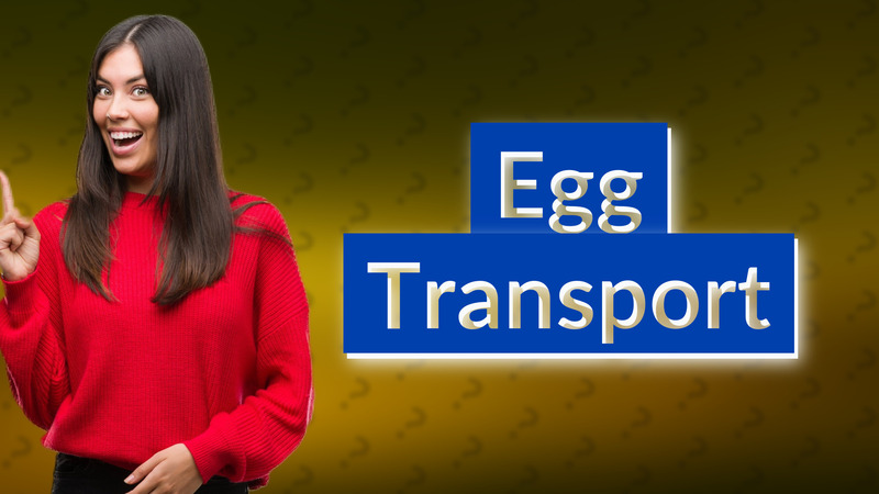 Egg Transport