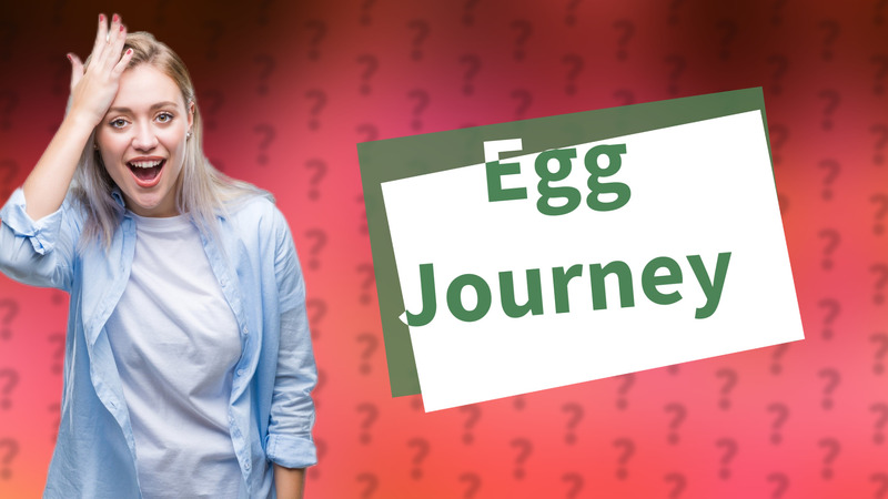 Egg Journey