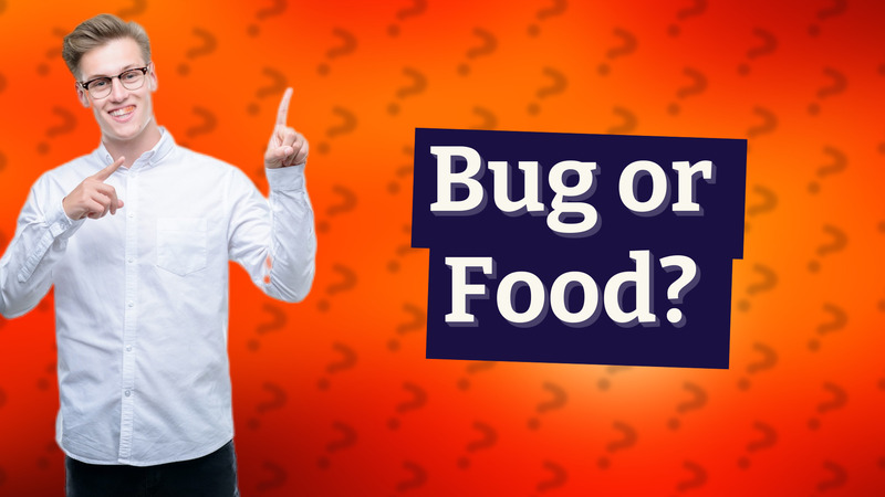 Bug or Food?