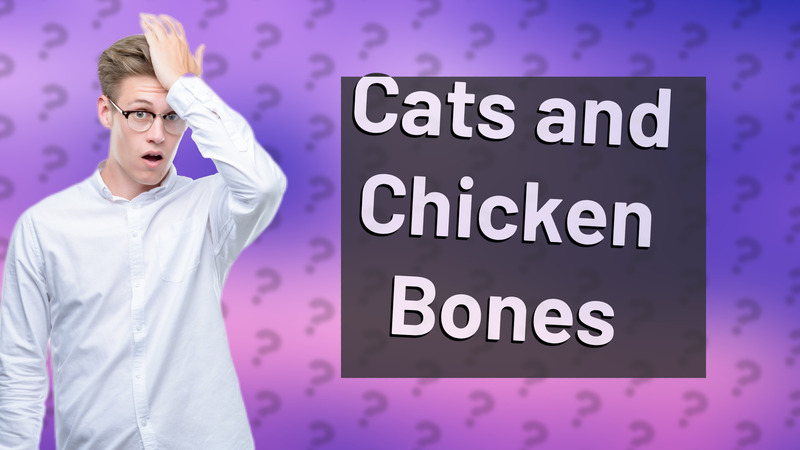 Cats and Chicken Bones