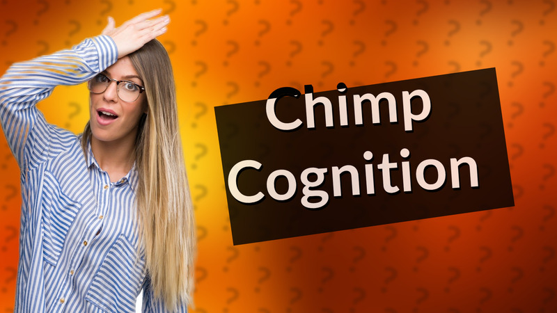 Chimp Cognition