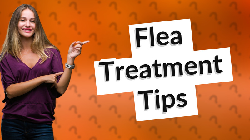 Flea Treatment Tips