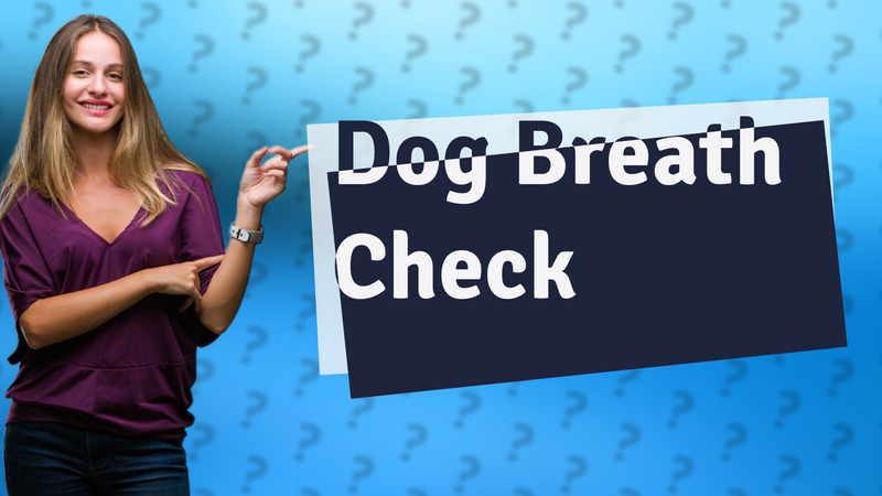 Dog Breath Check