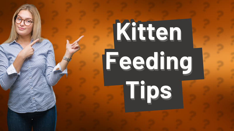 Kitten Feeding Tips