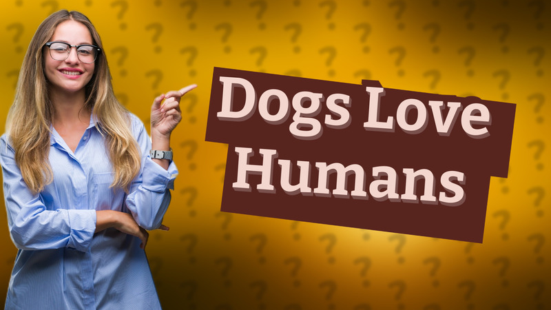 Dogs Love Humans