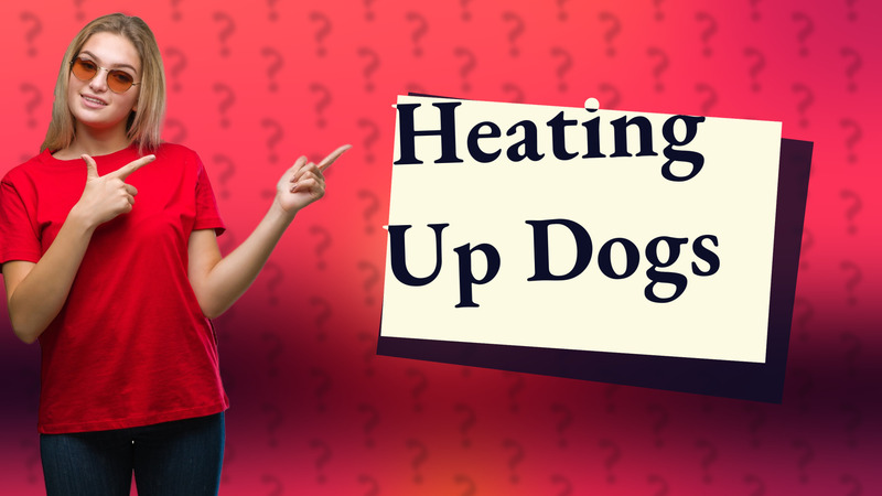 Heating Up Dogs