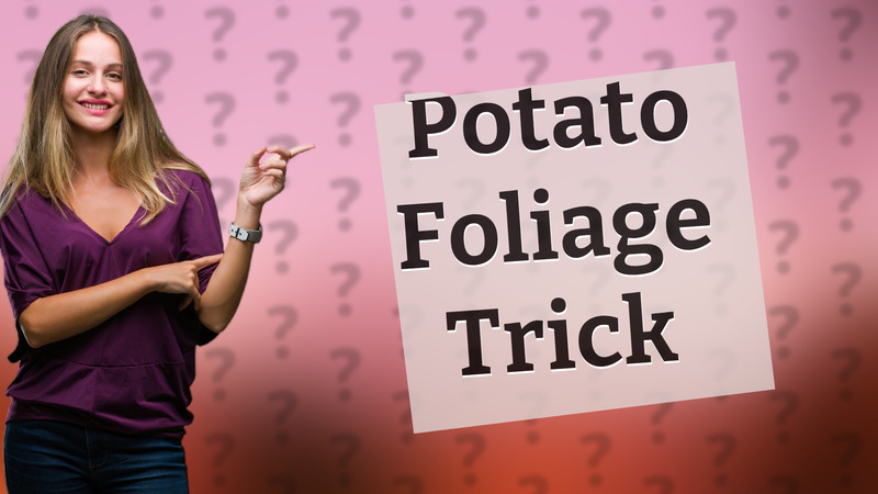 Potato Foliage Trick
