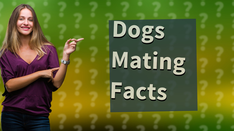 Dogs Mating Facts