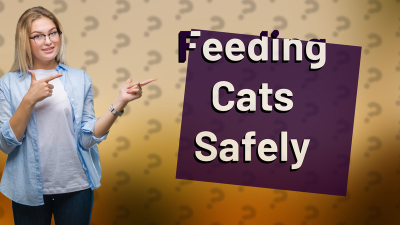 Feeding Cats Safely