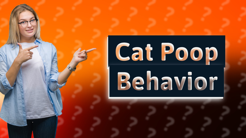 Cat Poop Behavior