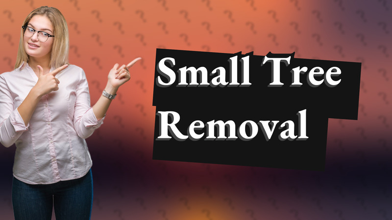 Small Tree Removal