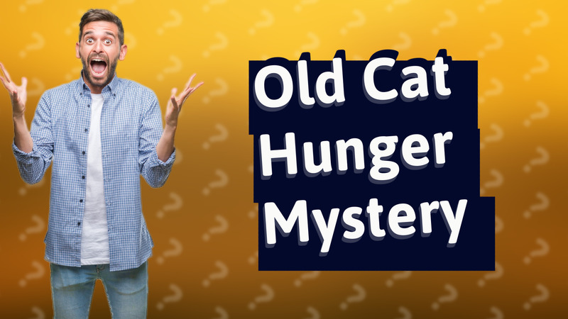 Old Cat Hunger Mystery