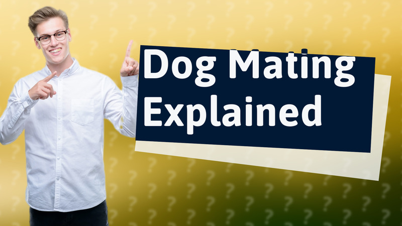 Dog Mating Explained