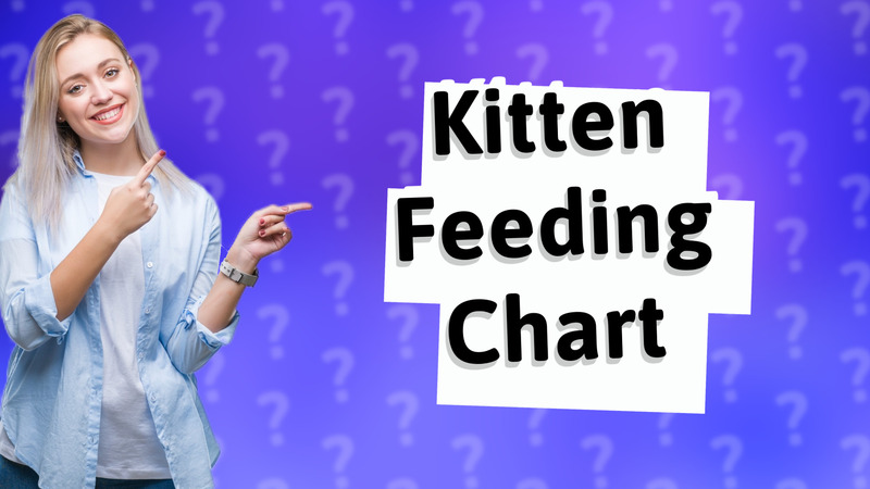Kitten Feeding Chart