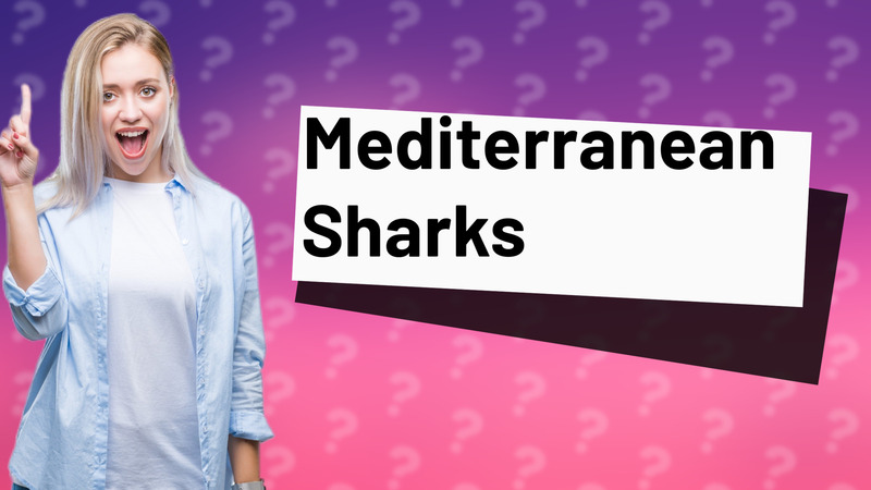 Mediterranean Sharks