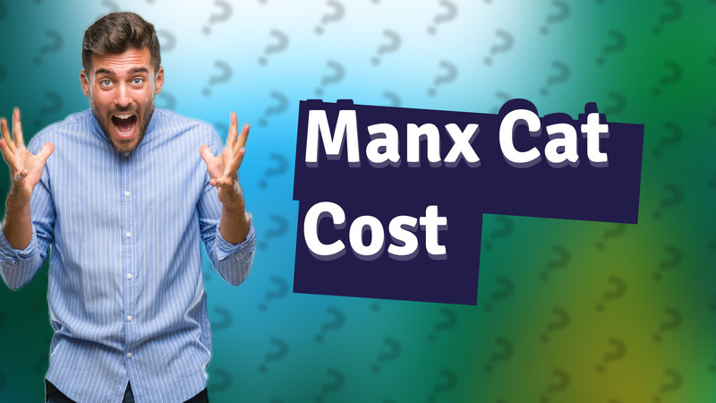 Manx Cat Cost
