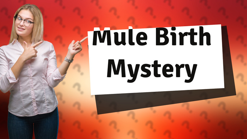 Mule Birth Mystery
