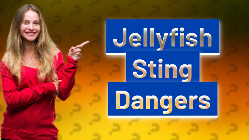 Jellyfish Sting Dangers