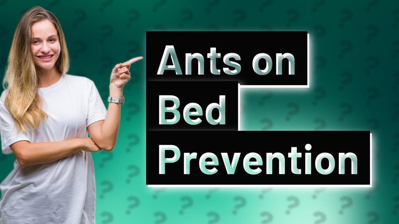 Ants on Bed Prevention