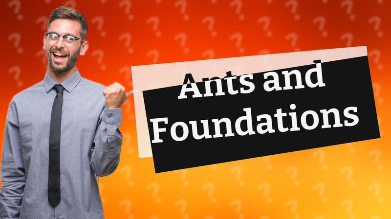 Ants and Foundations