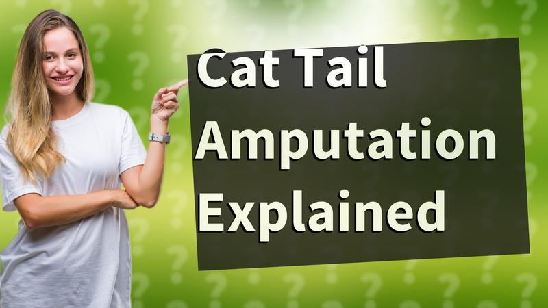 Cat Tail Amputation Explained