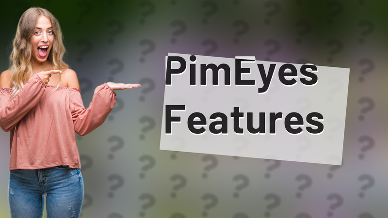 PimEyes Features