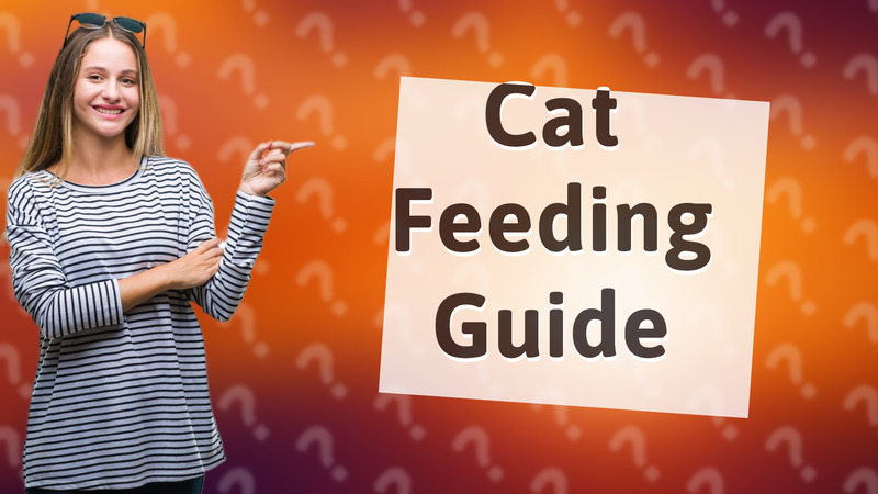 Cat Feeding Guide