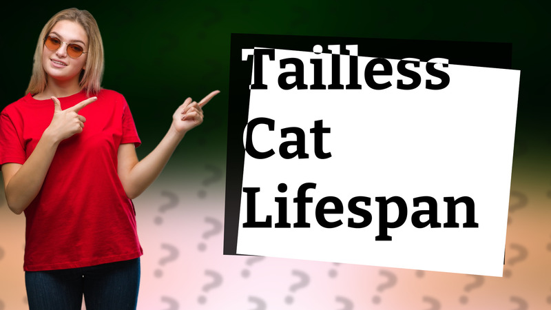 Tailless Cat Lifespan