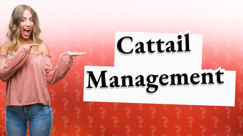 Cattail Management