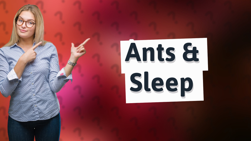 Ants & Sleep